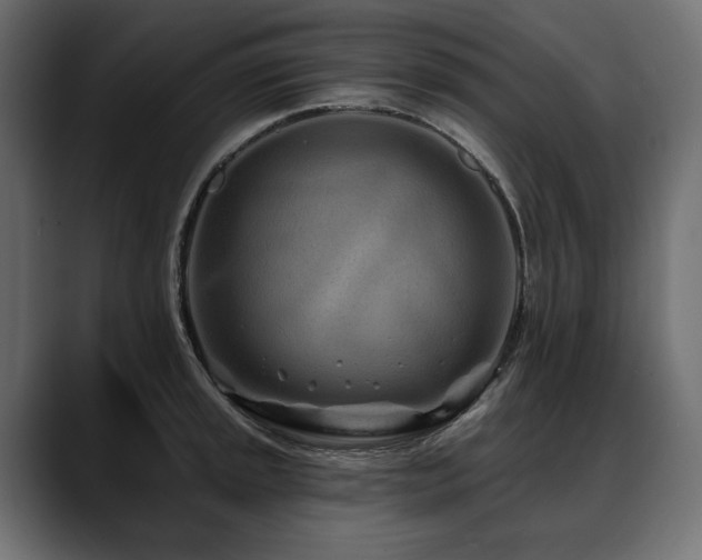 X0000088571045200705251114