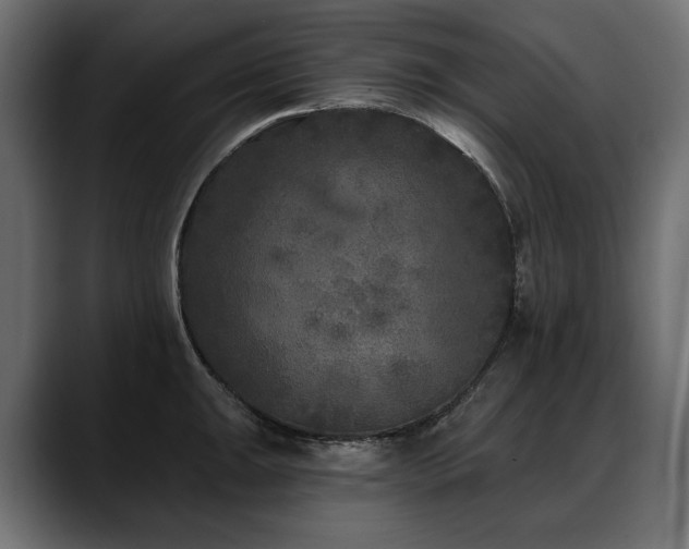 X0000088571047200705251114