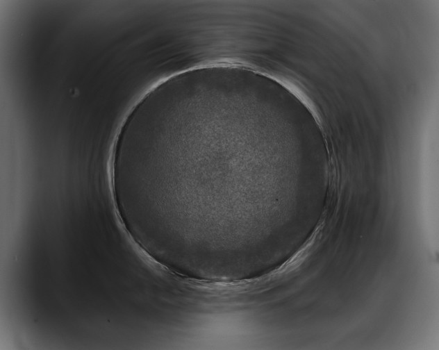 X0000088571054200705251114