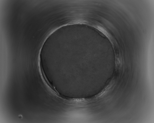 X0000088571055200705251114
