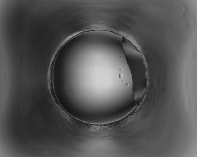 X0000088571056200705251114
