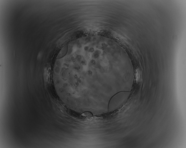 X0000088571059200705251113