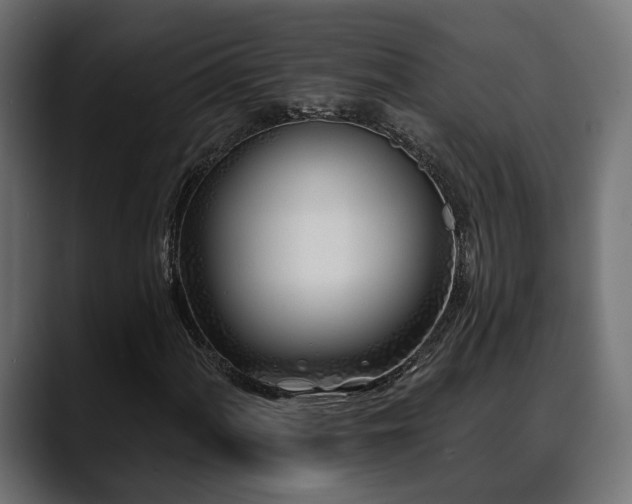 X0000088571060200705251113
