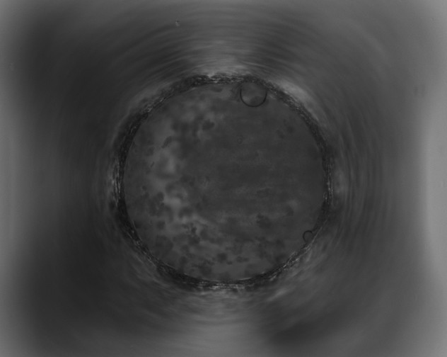 X0000088571063200705251113