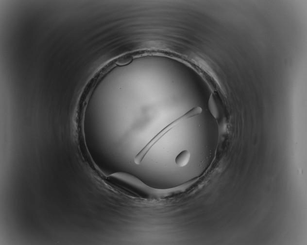 X0000088571068200705251113