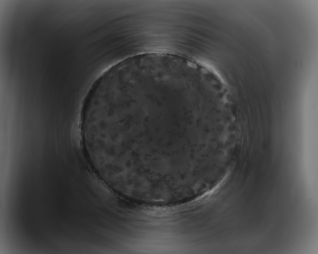 X0000088571071200705251113