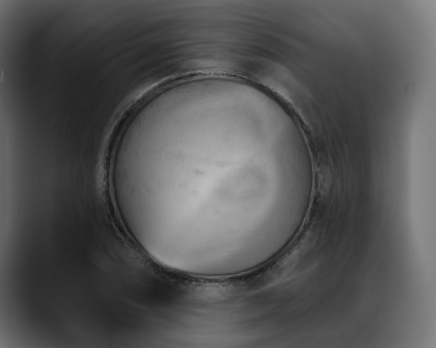 X0000088571074200705251113