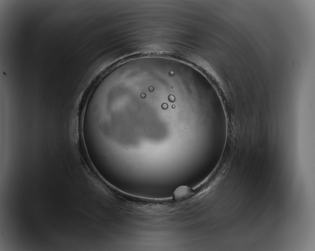 X0000088571075200705251113