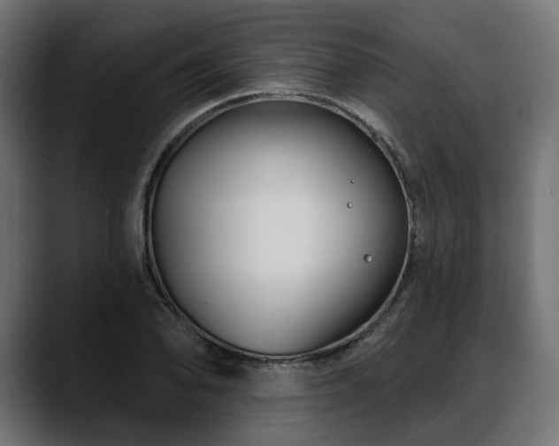 X0000088571078200705251113