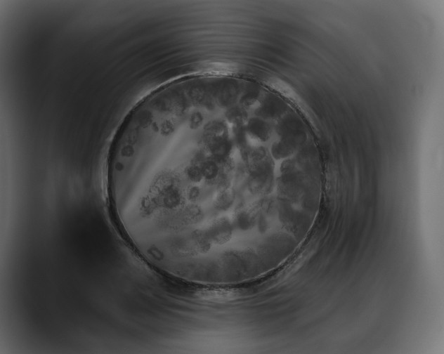 X0000088571083200705251113