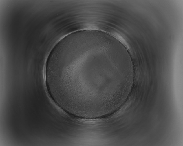 X0000088571084200705251113