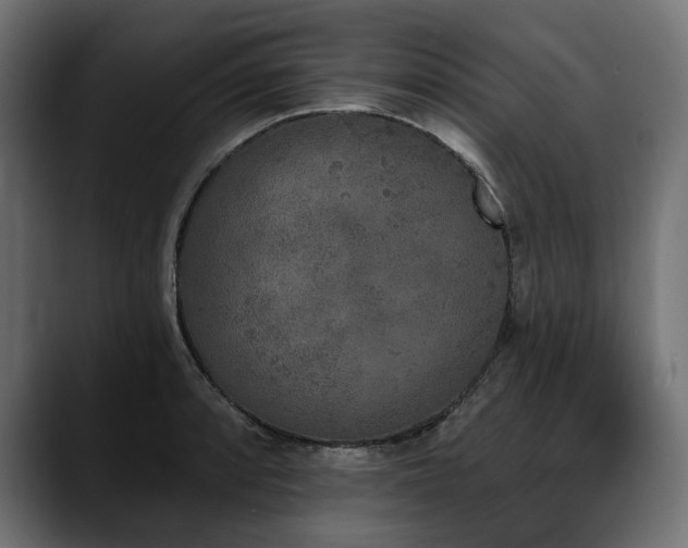 X0000088571088200705251113