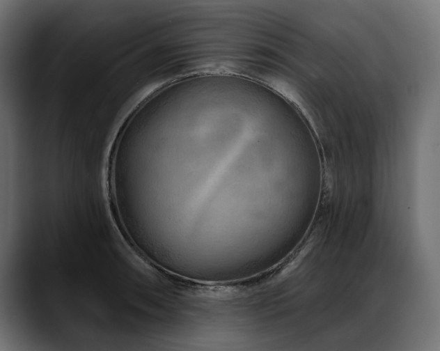 X0000088571090200705251113
