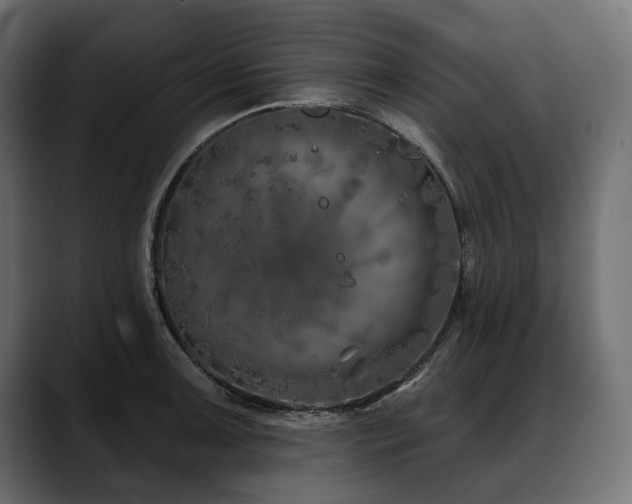 X0000088571091200705251113