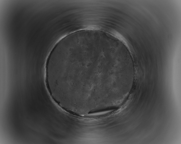 X0000088571095200705251113