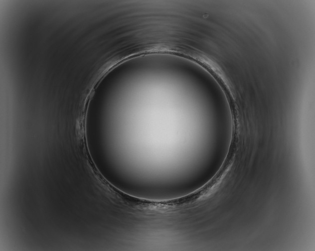 X0000088571097200705251113