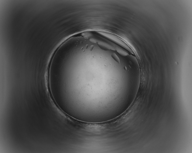 X0000088571100200705251113