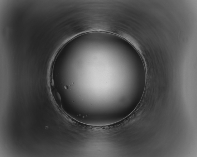 X0000088571104200705251112