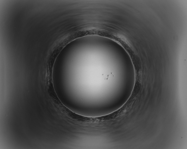 X0000088571111200705251112