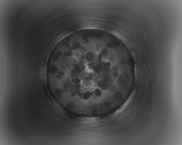 X0000088571121200705251112