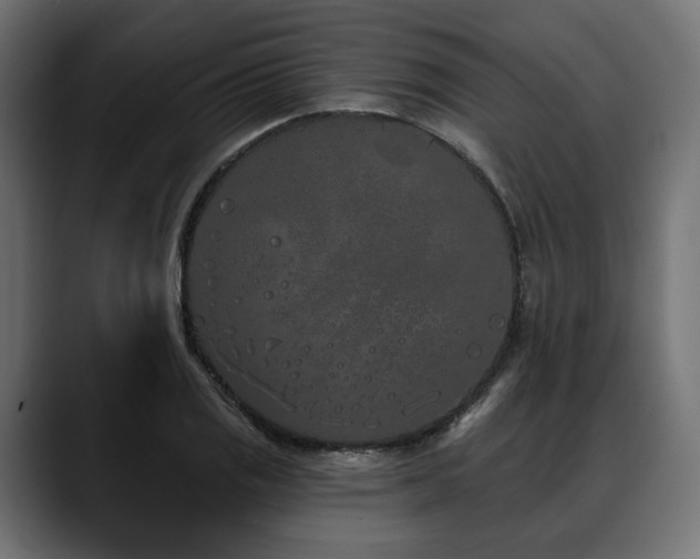 X0000088571125200705251112