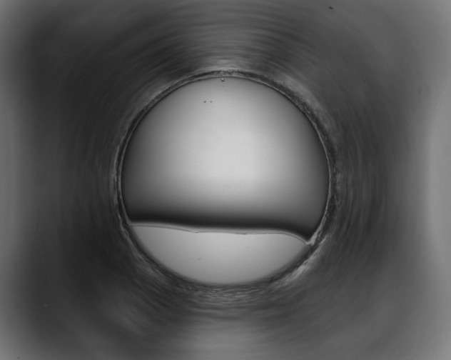 X0000088571129200705251112