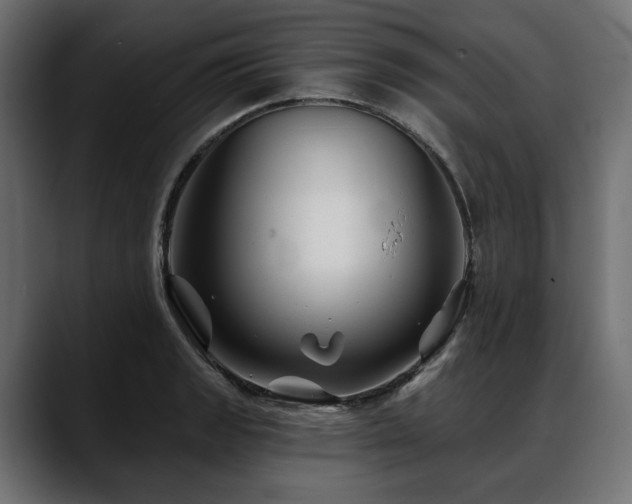 X0000088571133200705251112