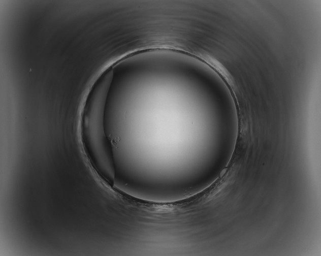 X0000088571144200705251112