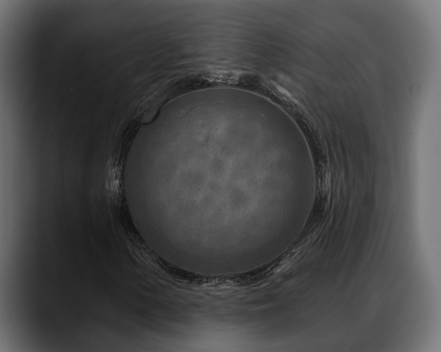X0000088571154200705251112