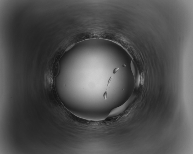 X0000088571155200705251112