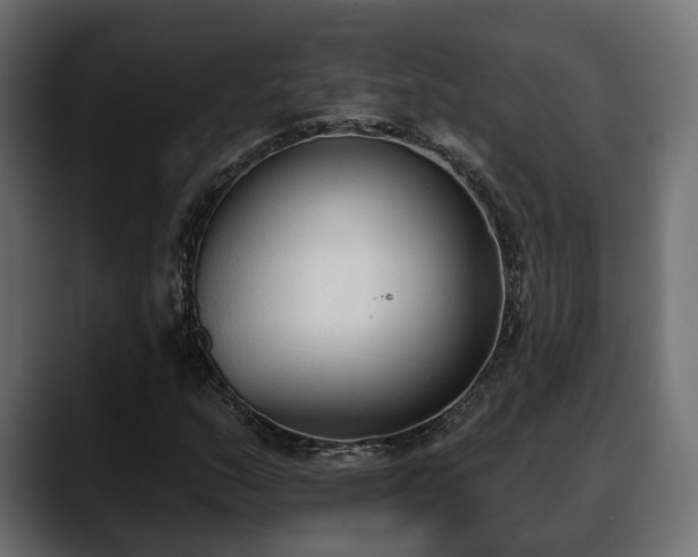 X0000088571159200705251112