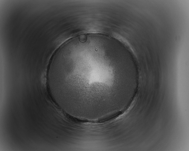 X0000088571170200705251112