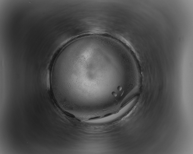 X0000088571171200705251112