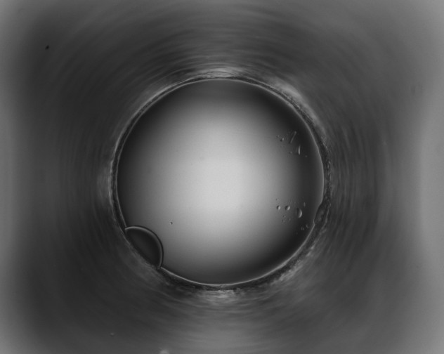 X0000088571186200705251111
