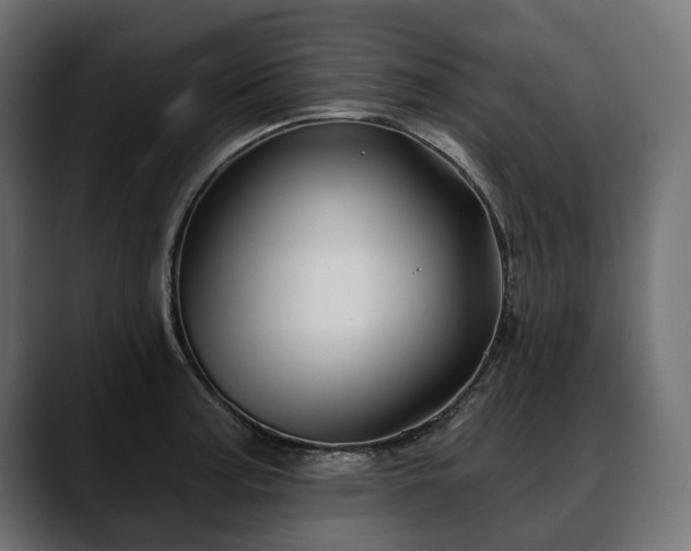 X0000088571187200705251111