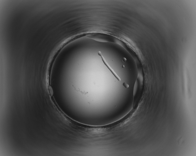 X0000088571188200705251111