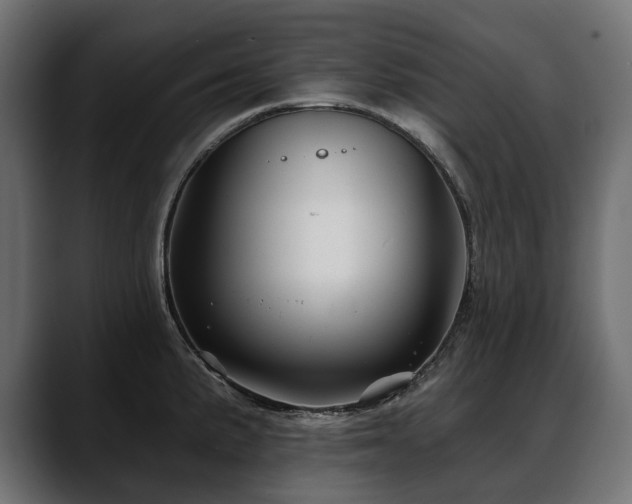 X0000088571191200705251111