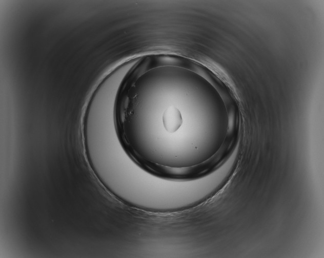 X0000088571192200705251111
