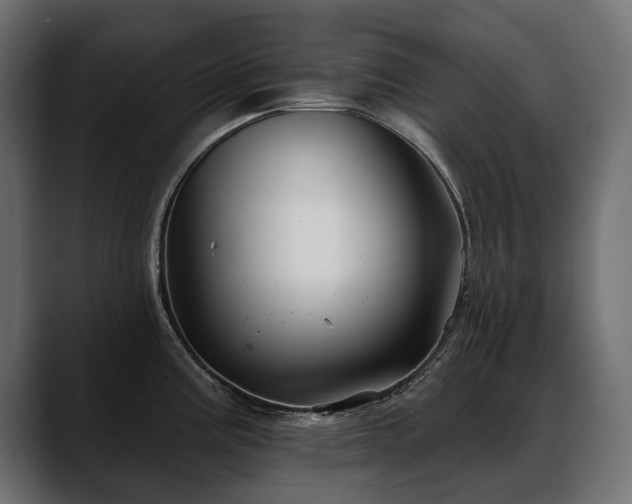 X0000088571195200705251111