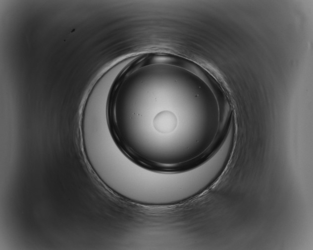 X0000088571200200705251111