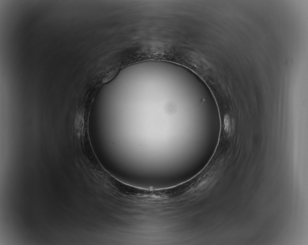 X0000088571203200705251111