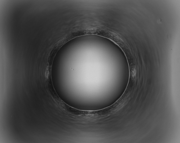 X0000088571204200705251111