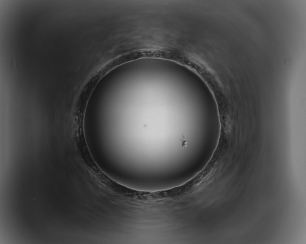 X0000088571208200705251111