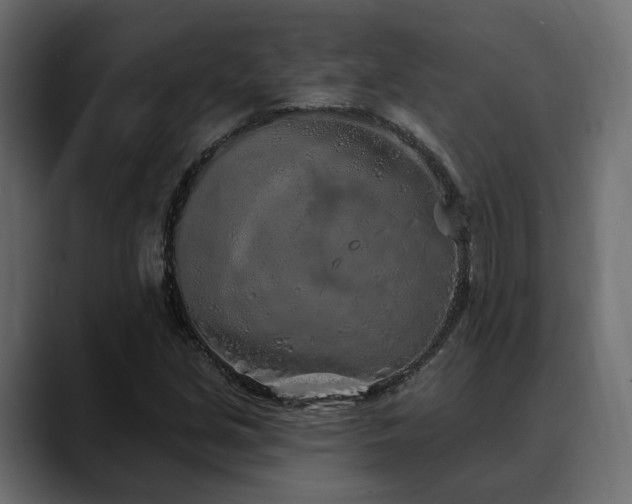 X0000088571213200705251111