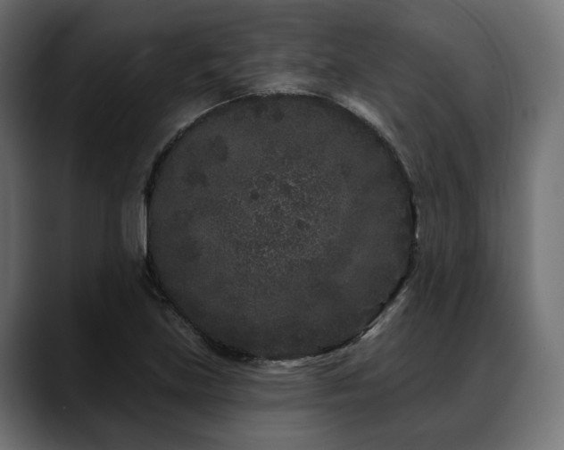 X0000088571219200705251111