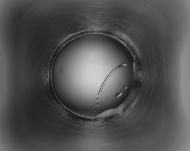 X0000088571220200705251111