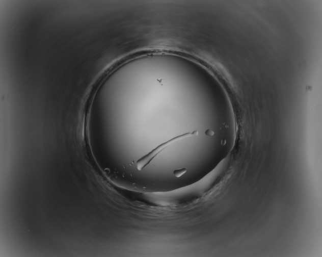X0000088571224200705251111