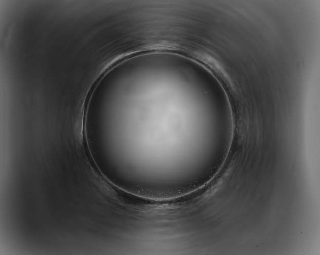 X0000088571228200705251111
