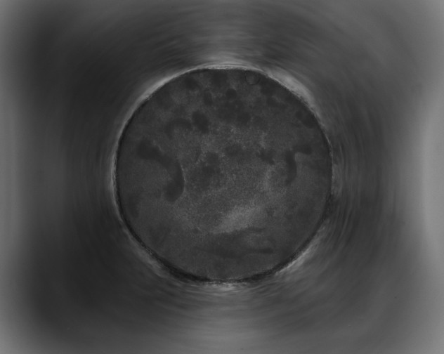 X0000088571231200705251111