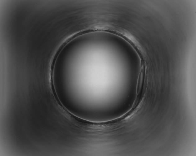 X0000088571232200705251111
